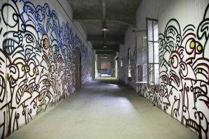 Galo Image