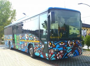 Galo Image